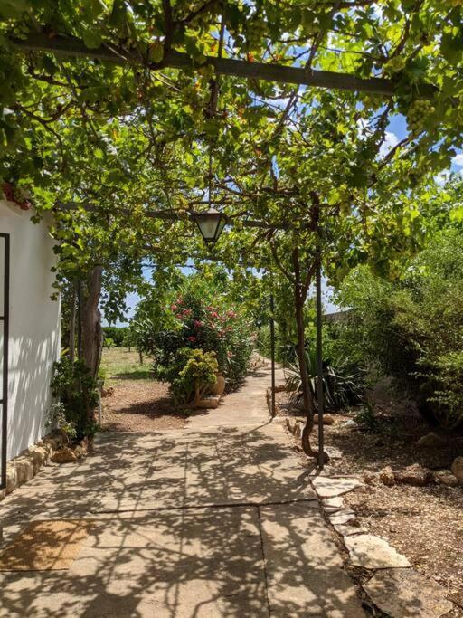Casa Rural Frente Al Mar La Toscana Les Cases d'Alcanar Extérieur photo